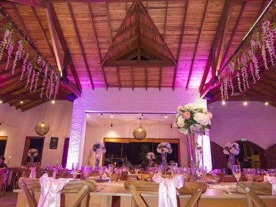 Decoracion Evento Celebracion Elegante